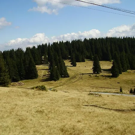 Apartman Vadjo In Stenata