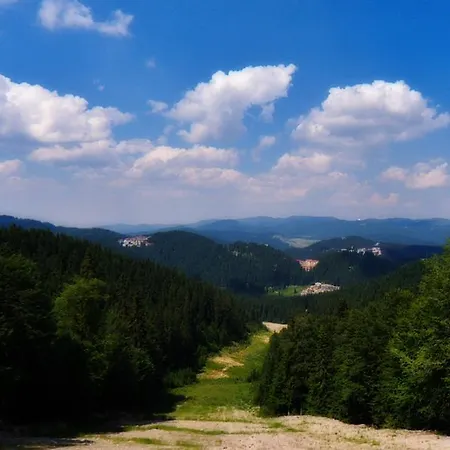 아파트 Vadjo In Stenata 팜포로보