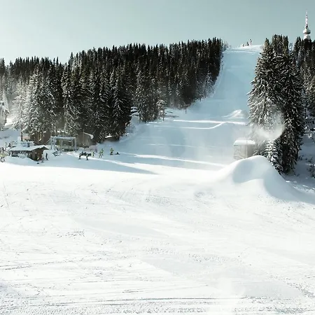 Vadjo In Stenata * Pamporovo