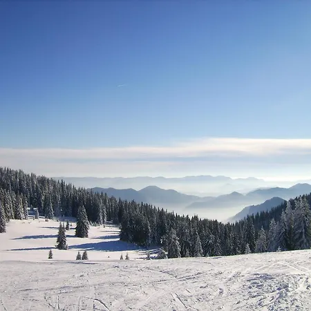 Vadjo In Stenata Apartman Pamporovo