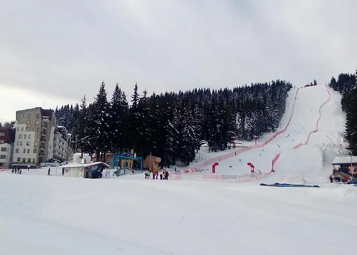 Vadjo In Stenata Apartmán Pamporovo