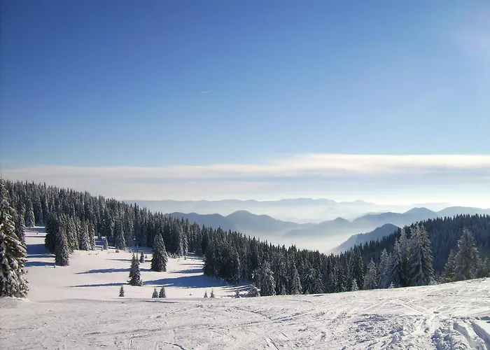 Vadjo In Stenata Apartmán Pamporovo
